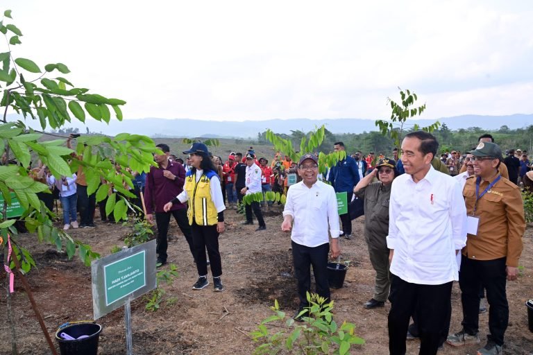 Presiden Jokowi menanam pohon bersama dengan masyarakat dan siswa sekolah di lokasi Rehabilitasi Hutan dan Lahan KIPP, di Kawasan IKN, Kabupaten Penajam Paser Utara, Provinsi Kalimantan Timur, Rabu (20/12/2023). (Foto: BPMI Setpres/Kris)