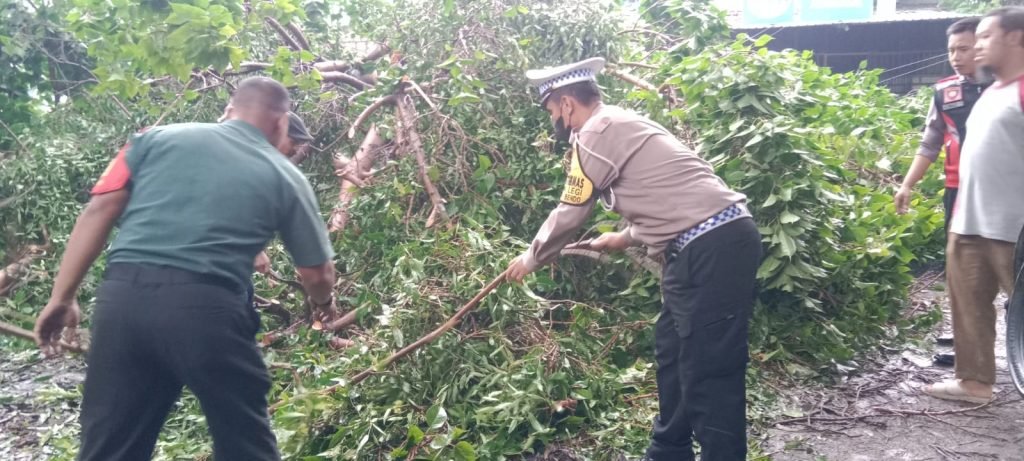 Polisi dan TNI Gotong Royong Tangani Pohon Tumbang Jalan Raya Balongbendo Sidoarjo