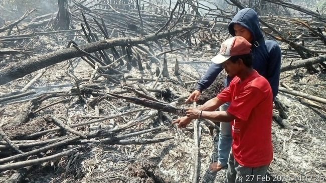 Pembakar lahan di Rohil, menunjukkan lokasi yang dibakarnya.