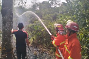 WhatsApp Image 2024-08-28 at 07.01.23