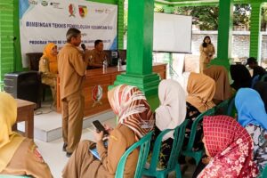 WhatsApp Image 2025-07-28 at 19.07.01