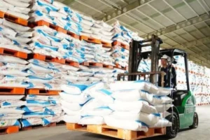 Harga-Pupuk-Turun-20-Persen-Pertama-dalam-65-Tahun-Pendapatan-Petani-Naik-Rp113-Triliun-860x452