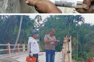 Screenshot_20251029-164812_Gallery