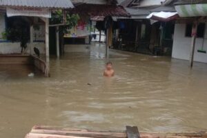 91b0b3f2-5570-48ba-8f2c-faa8d8b92d4a