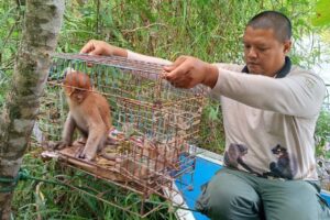 Screenshot_20251210_220054