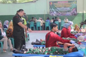 WhatsApp Image 2025-12-11 at 15.56.31