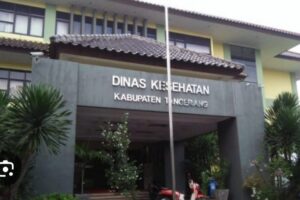 WhatsApp Image 2025-12-12 at 23.34.45