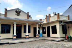 WhatsApp Image 2026-01-31 at 12.37.45