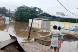 WhatsApp Image 2026-01-31 at 13.59.31