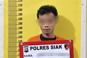 f6fca60c-99c2-4c75-b79a-52126cace8c4