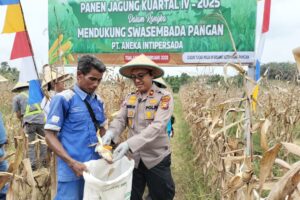 WhatsApp Image 2026-02-14 at 08.48.01 (1)