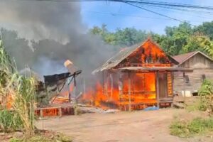 WhatsApp-Image-2026-02-17-at-15.19.07-860x656