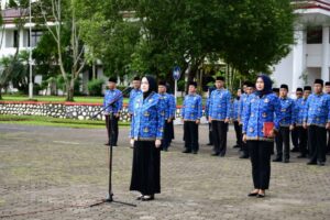 WhatsApp Image 2026-02-18 at 16.49.21 (1)