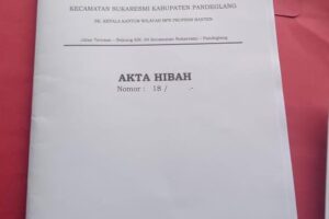 WhatsApp Image 2026-03-28 at 08.07.01