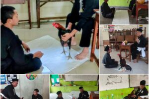IMG-20260601-WA0179
