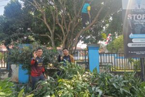 IMG-20260724-WA0047