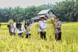 AFNI_MANEN_PADI1