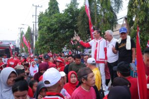 file (2)