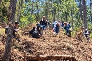 foto_hutan_500px