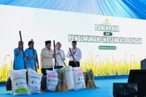 3039Swasembada_Beras__Perkuat_Fondasi_Ketahanan_Pangan_Nasional
